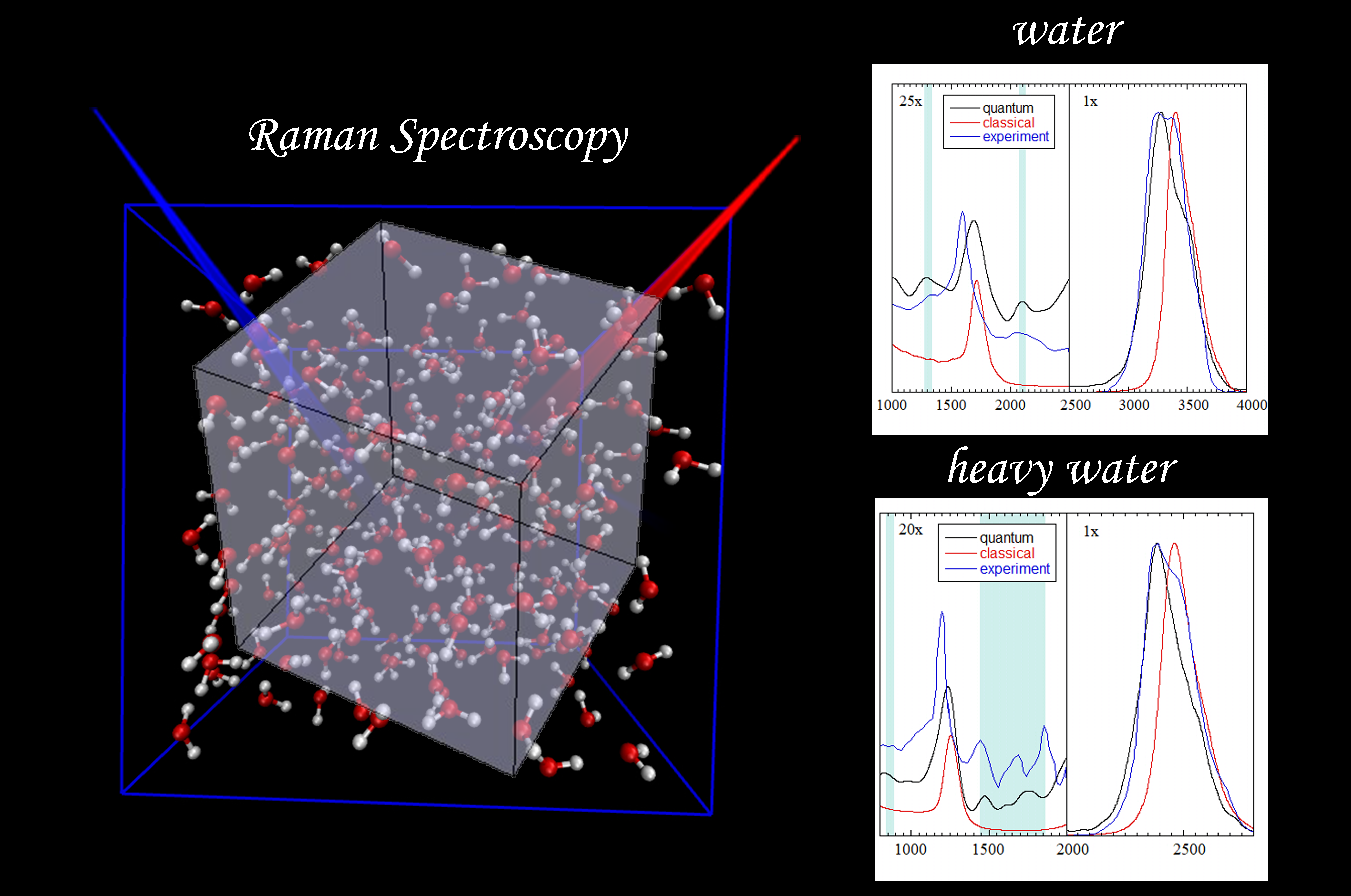 Raman Spectra of liquid water